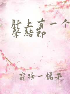 肝上有一个低回声结节