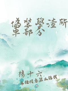 伪装学渣所有开车部分