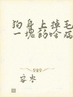 狗身上掉毛一块一块的啥病