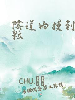 阴道内摸到有肉粒