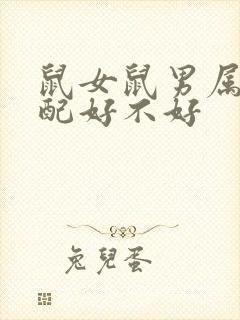 鼠女鼠男属相婚配好不好