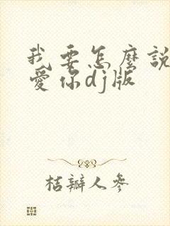 我要怎么说我不爱你dj版