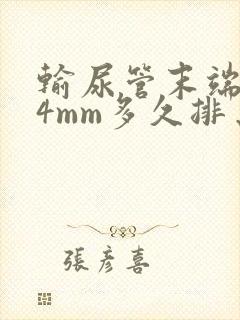 输尿管末端结石4mm多久排出