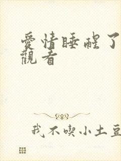 爱情睡醒了高清观看