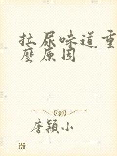 拉尿味道重是什么原因