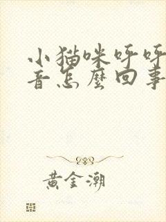 小猫咪呼呼的声音怎么回事