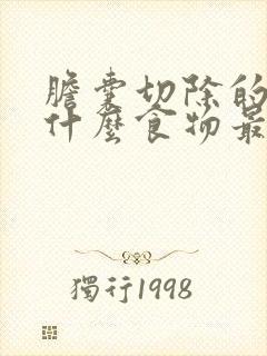 胆囊切除的人吃什么食物最好