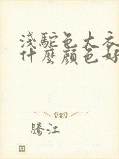 浅驼色大衣内搭什么颜色好看