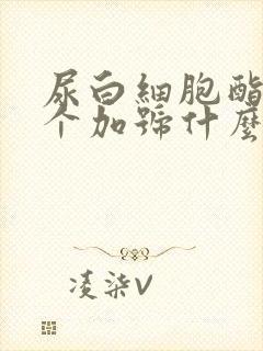 尿白细胞酯酶2个加号什么意思