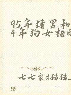 95年猪男和94年狗女相配吗