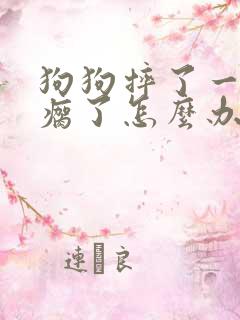 狗狗摔了一下腿瘸了怎么办