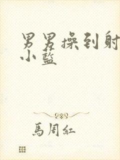 男男操到射文章小蓝