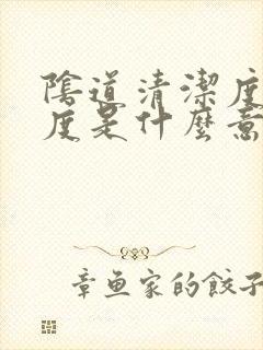 阴道清洁度iv度是什么意思