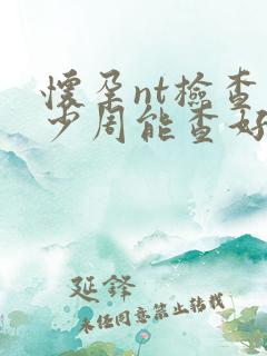 怀孕nt检查多少周能查好