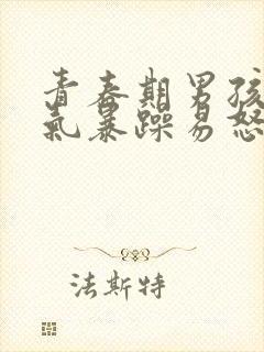 青春期男孩子脾气暴躁易怒怎么办