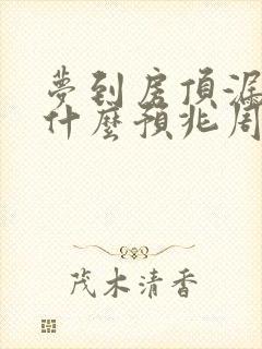 梦到房顶漏水是什么预兆周公解梦