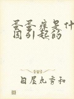 蛋蛋痒是什么原因引起的