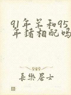 91年羊和95年猪相配吗