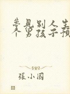 梦见别人生了一个男孩子预示什么