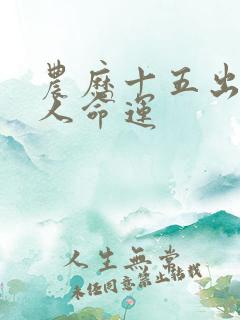 农历十五出生的人命运