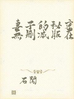 妻子的秘密日剧无删减版在线观看