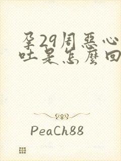 孕29周恶心想吐是怎么回事