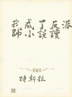 我成了反派高富帅小说读