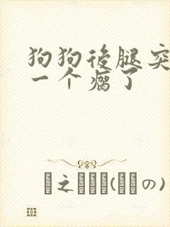 狗狗后腿突然有一个瘸了