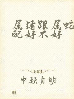 属猪跟属蛇的婚配好不好