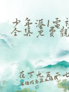 少年派1电视剧全集免费观看完整版360