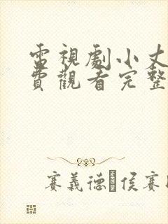 电视剧小丈夫免费观看完整版