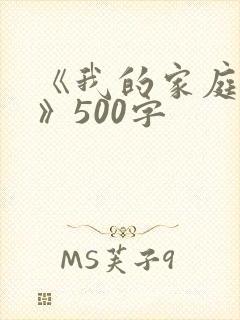《我的家庭故事》500字