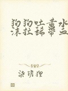 狗狗吐黄水带泡沫拉稀带血