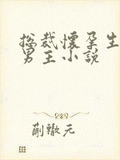 总裁怀孕生子双男主小说