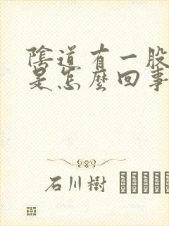 阴道有一股酸味是怎么回事