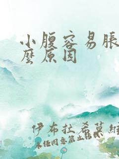 小腹容易胀气什么原因