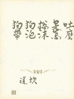 狗狗总是吐黄水带泡沫怎么办