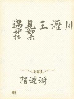 遇见王沥川拍摄花絮