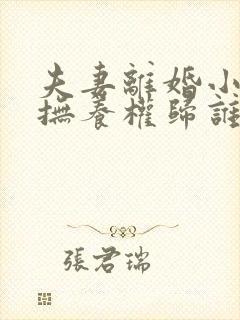 夫妻离婚小孩的抚养权归谁