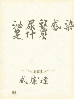 泌尿系感染症状是什么