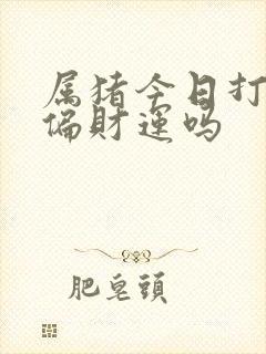 属猪今日打牌有偏财运吗