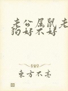 老公属鼠老婆属狗好不好