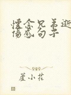 怀念兄弟逝世的伤感句子