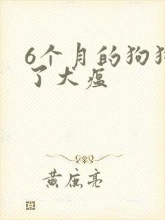 6个月的狗狗得了犬瘟