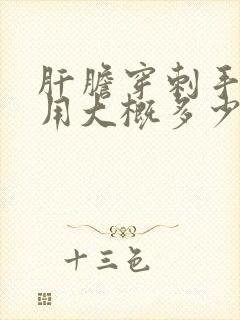 肝胆穿刺手术费用大概多少钱