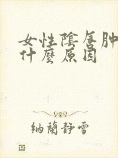 女性阴唇肿痛是什么原因