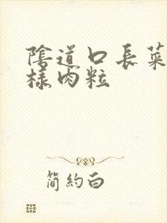 阴道口长菜花一样肉粒