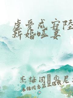 虐爱成宠陆总的新婚哑妻