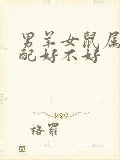 男羊女鼠属相婚配好不好