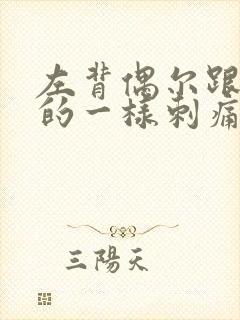 左背偶尔跟针扎的一样刺痛